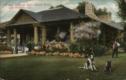 A Log Cabin on West Adams Street Los Angeles, CA Postcard Postcard Postcard