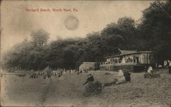 Orchard Beach North East, PA Postcard Postcard Postcard