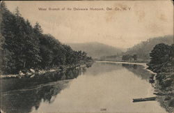 West Branch of the Delaware River Postcard