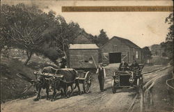 A Mountain Scene Ellenville, NY Postcard Postcard Postcard