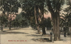 Looking Along Estudillo Avenue San Leandro, CA Postcard Postcard Postcard