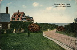 Scene at West Chop Vineyard Haven, MA Postcard Postcard Postcard