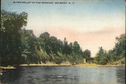 Valley of the Genesee River Postcard