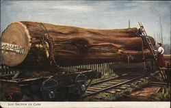 Log Section on Cars Postcard