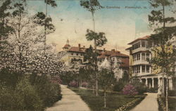 The Carolina Postcard