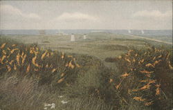 The Golden Broom, North Cliff Nantucket, MA Postcard Postcard Postcard