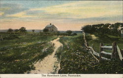 Hawthorn Lane Nantucket, MA Postcard Postcard Postcard