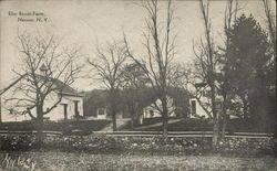 Elm Brook Farm Nanuet, NY Postcard Postcard Postcard