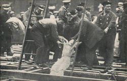 SS Eastland Tenderly Removing From the Hold Postcard