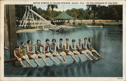 Water Nymphs at Silver Springs Ocala, FL Postcard Postcard Postcard