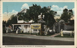 St. Petersburg Alligator Farm and Zoo Postcard