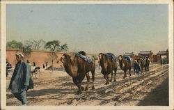 Camel Train, Peking Beijing, China Postcard Postcard Postcard