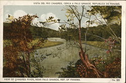 View of Chagres River, Near Palo Grande Postcard