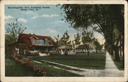 Morningside Avenue, Looking South Postcard