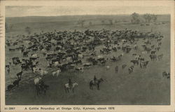 Cattle Roundup Postcard