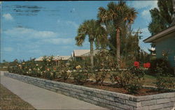 Gulf and Bay Club - Rose Garden, Siesta Key Sarasota, FL Postcard Postcard Postcard