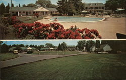 Mt. Vee Motel Alexandria, VA Postcard Postcard Postcard