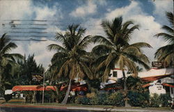 Olney Inn Miami Beach, FL Postcard Postcard Postcard