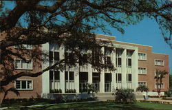 Florida State University - The Library Postcard