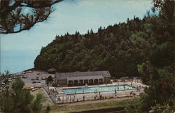 The Swimming Pool Postcard