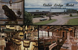 Cedar Lodge Motel Dalhousie, NB Canada New Brunswick Postcard Postcard Postcard