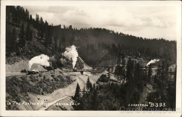 Feather River Canyon Oroville, CA Postcard