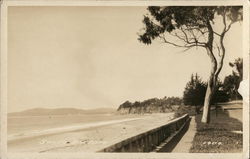 View Along the Shore Santa Barbara, CA Postcard Postcard Postcard