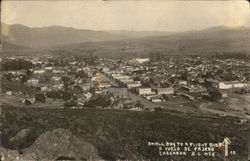 Bird's Eye View of Town Postcard