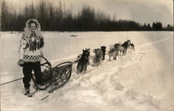 Person in Parka with Dog Sled in Snow Dogs Postcard Postcard Postcard