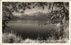 View of Lake and Mt. Tallac Lake Tahoe, CA Postcard Postcard Postcard