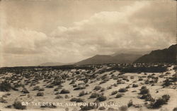 View of Desert Palm Springs, CA Postcard Postcard Postcard