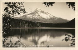 Mt Hood from Lost Lake - Elevation 11,245 ft Postcard