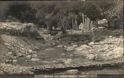 Scene at Cold Brook Camp Postcard