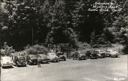 Entrance to "Mystery Spot" Santa Cruz, CA Postcard Postcard Postcard