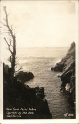 View from Point Lobos Postcard