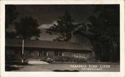 Cambria Pine Lodge California Postcard Postcard Postcard