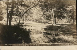 Picnic Grounds at Buck Creek Garnavillo, IA Postcard Postcard Postcard