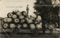 Farmer Standing on Pile of Giant Apples on a Cart Postcard