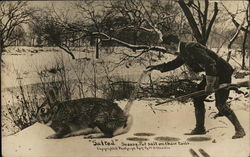 Hunter Pouring Salt Onto the Tail of Giant Rabbit Exaggeration Postcard Postcard Postcard