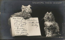 "Studying Their Lesson" - Two Cats Reading a Book Postcard