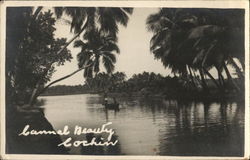 Canal Beauty - People in Small Boat Near Trees Cochin, India Postcard Postcard Postcard