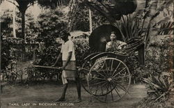 Tamil Lady in Rickshaw Sri Lanka Southeast Asia Postcard Postcard Postcard