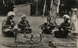 Snake Charmers Sri Lanka Southeast Asia Postcard Postcard Postcard