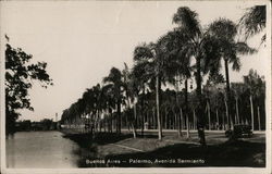 Palmero, Avenida Sarmiento Buenos Aires, Argentina Postcard Postcard Postcard