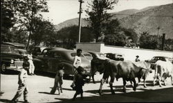 Street Scene in Chosica, Peru, 30 Miles East of Lima in the Foothills of the Andes Postcard