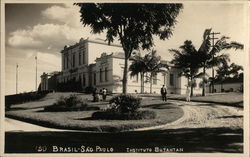 Instituto Butantan Postcard