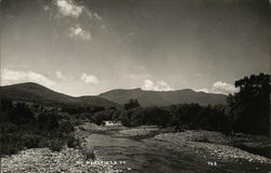 Mt. Mansfield Postcard