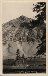 Virginia Lakes Camp Postcard