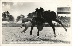 Cowboy Falling Off Horse - "Another Cowboy Hits the Dust" Postcard