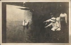 People Reaching out to White Swan in the Water Hot Springs, VA Postcard Postcard Postcard